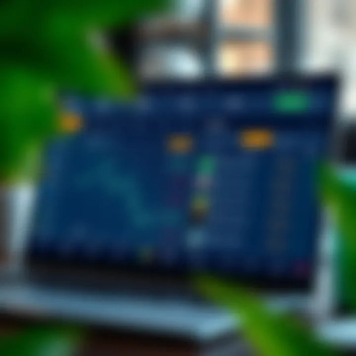 Overview of Quotex trading platform interface showing investment options and account types